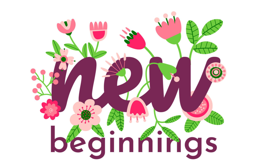 New Beginnings – Week 4