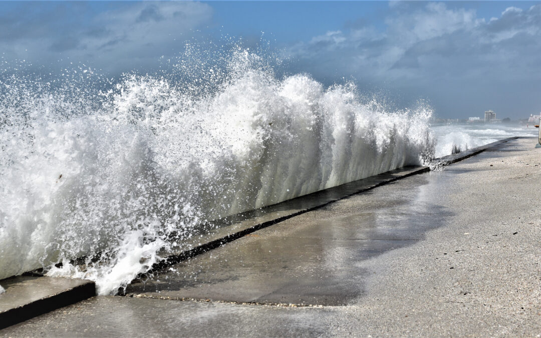 The Hurricane of Life – Week 1