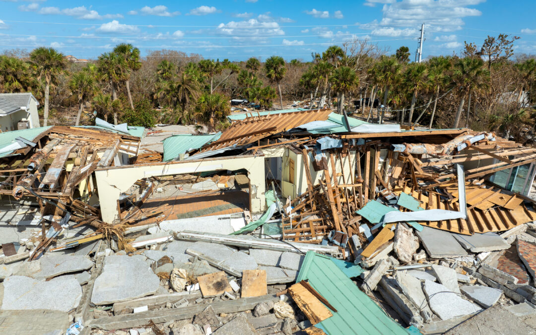 The Hurricane of Life – Week 2