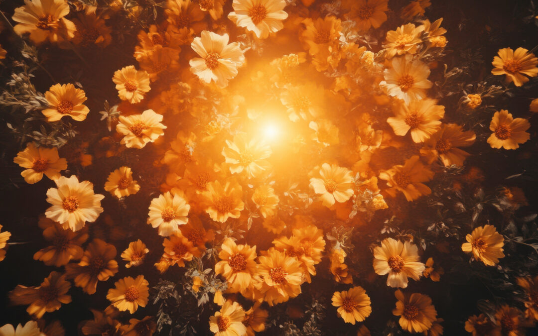 Community as Courage: Why Connection Changes Everything – Week 3